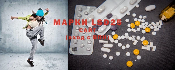 PSILOCYBIN Заводоуковск